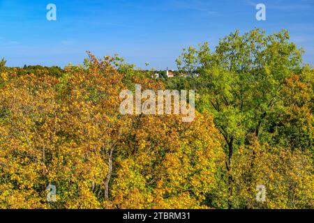 Deutschland, Bayern, Landkreis München, Grünwald, Schloss Grünwald, Blick nach Norden mit Pullach, der alten Kirche des Heiligen Geistes Stockfoto