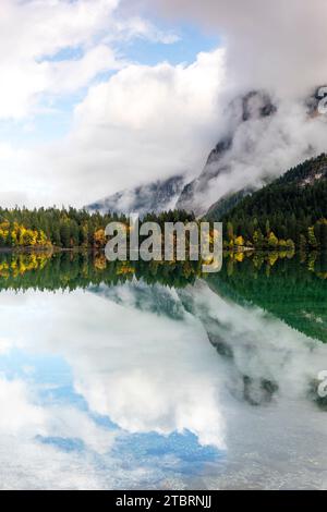 Reflexionen im Tovel-See, Europa, Italien, Trentino Südtirol, Non-Valley, Ville d'Anaunia Gemeinde, Provinz Trient Stockfoto