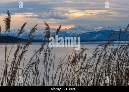 Voralpensee gegen Wettersteingebirge Stockfoto