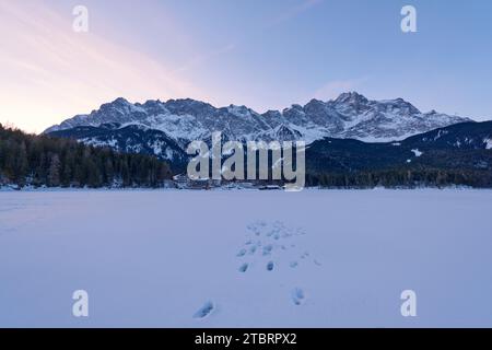 Wintermorgen am Eibsee gegen das Wettersteingebirge mit Zugspitze Stockfoto