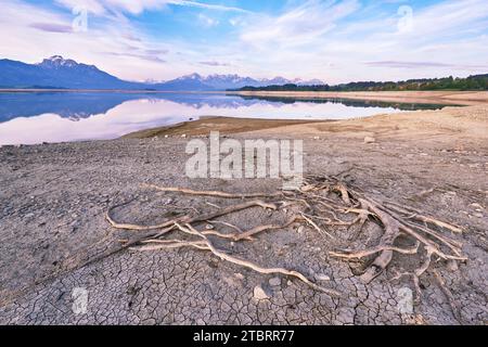 Forggensee entwässerte im Sommer 2018 aufgrund von Reparaturarbeiten am Damm bei Roßhaupten Stockfoto