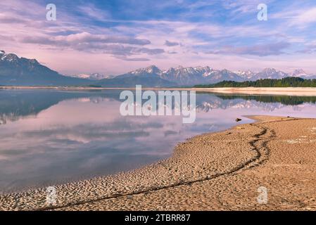 Forggensee entwässerte im Sommer 2018 aufgrund von Reparaturarbeiten am Damm bei Roßhaupten Stockfoto