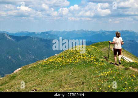 Frau auf Sommerwanderung zur Rofanspitze, Gipfelkamm, Bergkamm mit Trollblumen (Trollius europaeus) mit toller Wolkenatmosphäre, Achensee Stockfoto