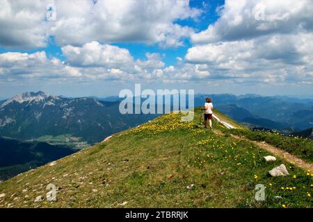 Frau auf Sommerwanderung zur Rofanspitze, Gipfelkamm, Bergkamm mit Trollblumen (Trollius europaeus) mit toller Wolkenatmosphäre, Achensee Stockfoto