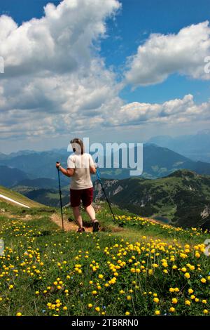Frau auf Sommerwanderung zur Rofanspitze, Gipfelkamm, Bergkamm mit Trollblumen (Trollius europaeus) mit toller Wolkenatmosphäre, Achensee Stockfoto
