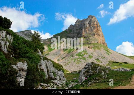 Sommerwanderung zur Rofanspitze, im Bild Seekarlspitze 2261m links und Roßkopf 2246m rechts, Region Achensee, Rofan, Rofangebirge, Tirol, Austr Stockfoto