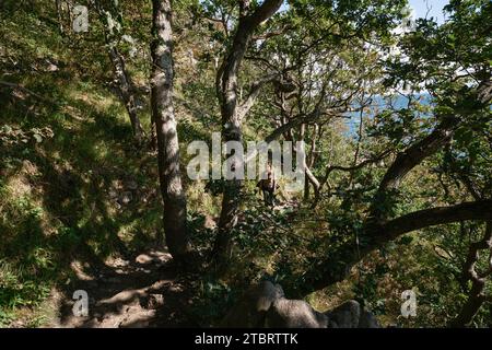 Waldwanderung im Naturschutzgebiet Kullaberg, Schweden Stockfoto