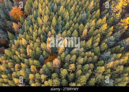 Unmittelbar neben dem Jagdschloss Rieseneck befindet sich der Herzogstuhl, ein kleines Lustschloss in Turmform und mit Fliesenbau. Stockfoto