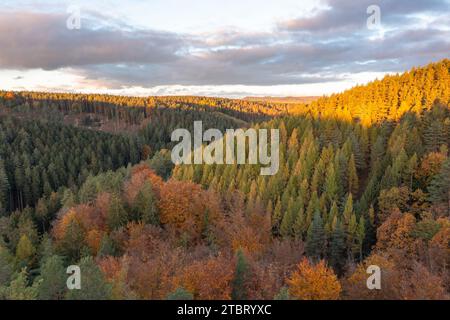 Unmittelbar neben dem Jagdschloss Rieseneck befindet sich der Herzogstuhl, ein kleines Lustschloss in Turmform und mit Fliesenbau. Stockfoto