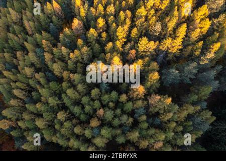 Unmittelbar neben dem Jagdschloss Rieseneck befindet sich der Herzogstuhl, ein kleines Lustschloss in Turmform und mit Fliesenbau. Stockfoto