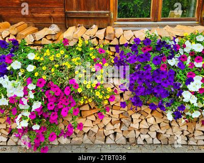 Blumenschmuck und Brennholz vor einem Bauernhof in Reichenbach, Oberstdorf, Oberallgäu, Alpen, Bayerische Alpen, Allgäu, Schwaben, Bayern, Deutschland Stockfoto