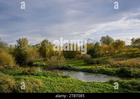Herbstlandschaft an der Seseke, Bergkamen, Ruhrgebiet, Nordrhein-Westfalen, Deutschland Stockfoto