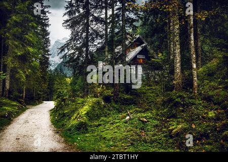 Wanderung in der Nähe von Gosau im Salzkammergut im Herbst Stockfoto