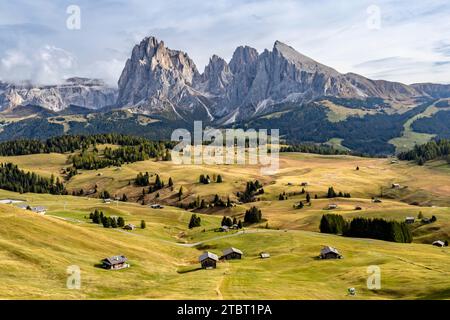 Die Seiser Alm im Herbst mit Blick auf den Langkofel Stockfoto