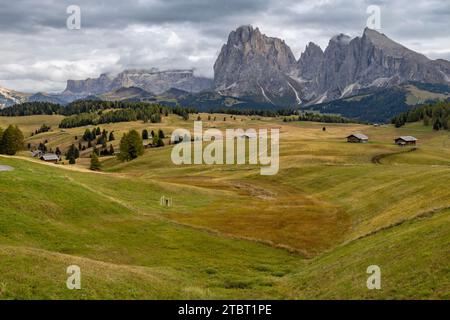 Die Seiser Alm im Herbst mit Blick auf den Langkofel Stockfoto