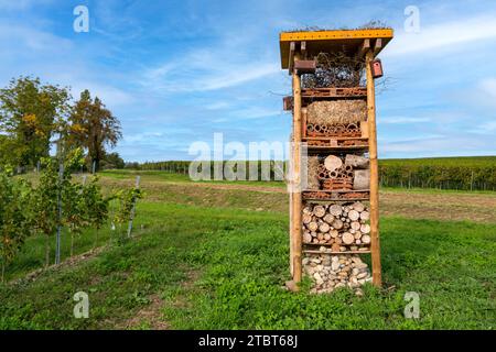 Insektenhotel in der Nähe der Wallfahrtskirche Birnau, Uhldingen-Mühlhofen am Bodensee, Baden-Württemberg, Deutschland, Europa Stockfoto