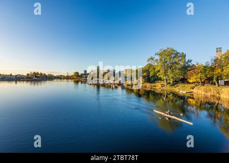 Wien, Alte Donau (Alte Donau), Ruderer in 22. Bezirk Donaustadt, Österreich Stockfoto