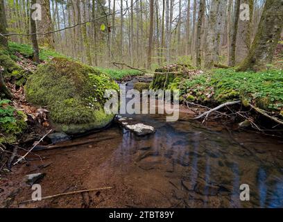 Landschaft im Naturpark Weilersbachtal im Naturpark Steigerwald, Gemeinde Rauhenebrach, Landkreis Haßberge, Landkreis Schweinfurt, Unterfranken, Franken, Deutschland Stockfoto