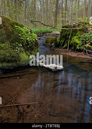 Landschaft im Naturpark Weilersbachtal im Naturpark Steigerwald, Gemeinde Rauhenebrach, Landkreis Haßberge, Landkreis Schweinfurt, Unterfranken, Franken, Deutschland Stockfoto