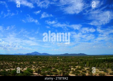 Sturmwolken bilden sich an einem frühen Frühlingsmorgen über der riesigen Sonora-Wüste im Zentrum von Arizona, USA Stockfoto