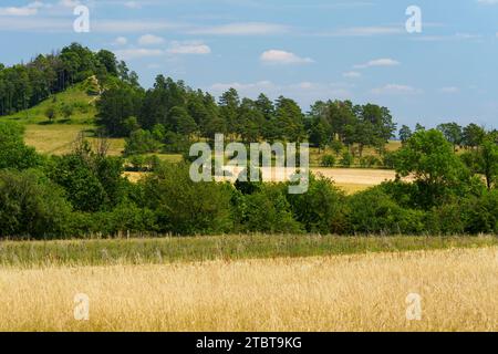 Der Staffelberg bei Bad Staffelstein, Landkreis Lichtenfels, Oberfranken, Franken, Bayern, Deutschland Stockfoto