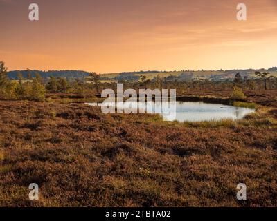 Das Naturschutzgebiet Schwarzes Moor im Abendlicht, Biosphärenreservat Rhön, Unterfranken, Franken, Bayern, Deutschland Stockfoto