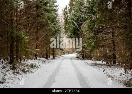 Die mit Reifenspuren bedruckte Straße erzählt die Geschichte von Wanderern, die durch diesen malerischen, schneebedeckten Wald navigieren. Stockfoto