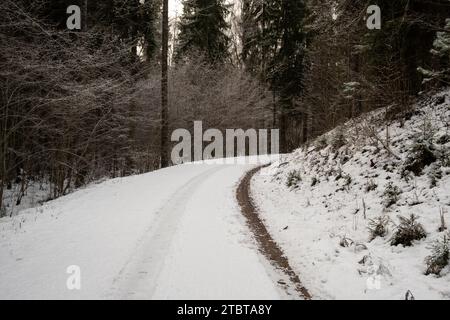 Reifenabdrücke im Schnee erzählen die Geschichte von Reisenden, die sich durch die ruhige, winterliche Oase dieser waldreichen Landschaft wagen. Stockfoto