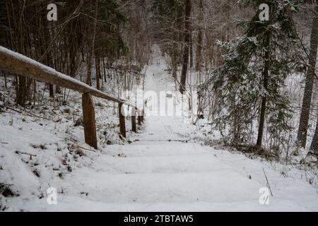 Jeder Schritt führt höher in die Ruhe des verschneiten Waldes – ein Aufstieg über Holztreppen in Pokainu Mezs, Dobele, Latvijas winterlicher Zauber. Stockfoto