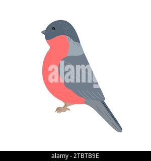 Bullfinch Vogel nette Karikaturvektor-Illustration für Weihnachtsfeiertag Winter Dekorelement, Neujahrsfeier festliches Design, handgezeichnetes Bild für Grußkarte, Poster, Einladung Stock Vektor