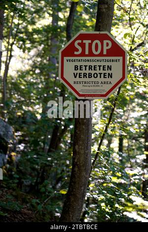 Deutschland, Bayern, Oberbayern, Berchtesgaden, Schönau am Königssee, Königsee, Nationalpark, Wald, Schild, kein Betreten, geschütztes Vegetationsgebiet Stockfoto