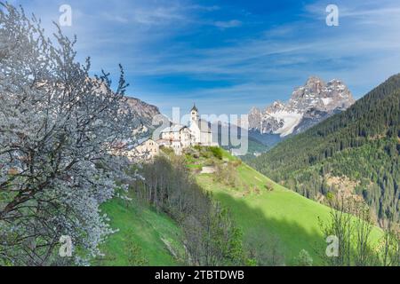 Italien, Veneto, Provinz Belluno, das Bergdorf Colle Santa Lucia im Frühling, Dolomiten Stockfoto