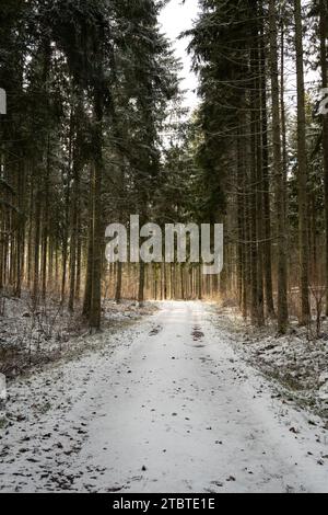 Wo Schnee auf Sonnenlicht trifft, verwebt die Natur eine bezaubernde Geschichte – ein faszinierender Weg durch winterliche Gelassenheit. Stockfoto