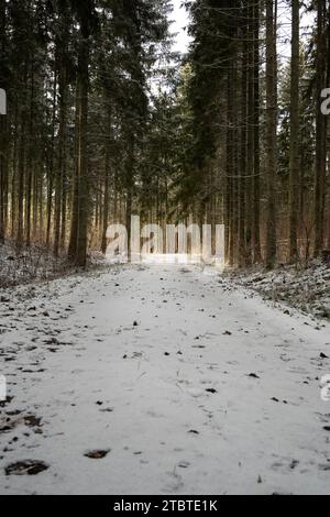 Ein schneebedeckter Pfad, der von Sonnenstrahlen beleuchtet wird, bietet eine atemberaubende Reise durch die Umgebung des Winters. Stockfoto