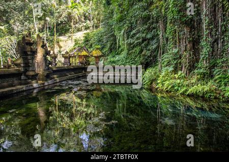 Ein kleiner Tempel, der für heilige Waschungen genutzt wurde, verzaubert und mit Moos bedeckt, mit Opfergaben, schönen Statuen und vielem mehr, heiligen Quellen und Weihwasser in Bali, Indonesien Stockfoto