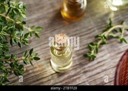 Ätherisches Thymianöl in einer durchsichtigen Glasflasche Stockfoto