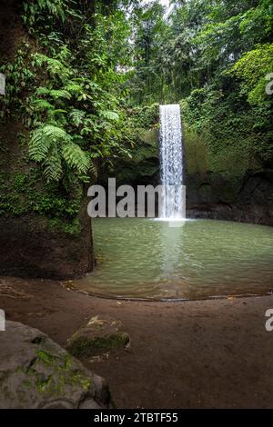 Tibumana Wasserfall, ein kleiner breiter Wasserfall in einer grünen Schlucht, der Fluss fließt in einen Pool mitten im Wald, Ausflugsziel in der Nähe von Ubud, Bali Stockfoto