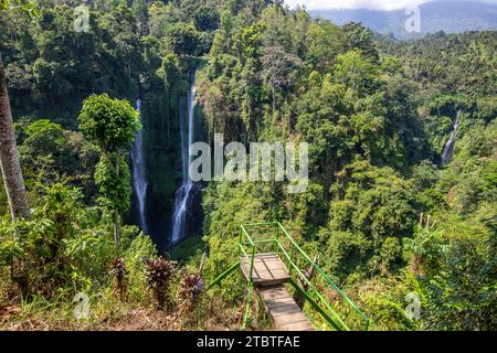 Der Sekumpul Wasserfall, ein großer Wasserfall mitten im Dschungel, der in eine tiefgrüne Schlucht eintaucht, Bäume und tropische Pflanzen am höchsten Wasserfall in Bali Stockfoto