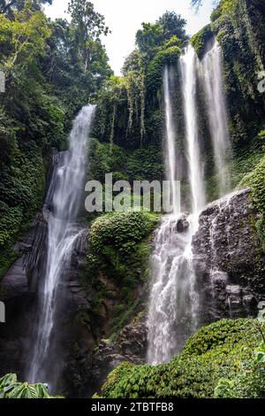 Der Sekumpul Wasserfall, ein großer Wasserfall mitten im Dschungel, der in eine tiefgrüne Schlucht eintaucht, Bäume und tropische Pflanzen am höchsten Wasserfall in Bali Stockfoto