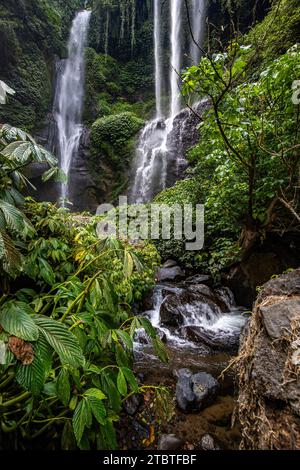 Der Sekumpul Wasserfall, ein großer Wasserfall mitten im Dschungel, der in eine tiefgrüne Schlucht eintaucht, Bäume und tropische Pflanzen am höchsten Wasserfall in Bali Stockfoto