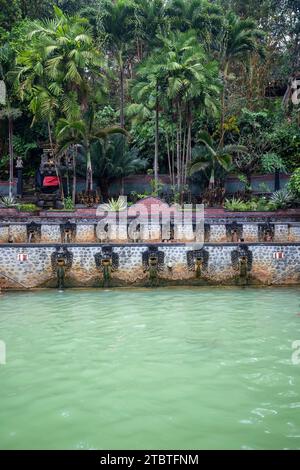 Heiße Quellen, Thermalbad im tropischen Dschungel, ritueller schwefelhaltiger Pool zum Schwimmen, Banjar, Bali Stockfoto