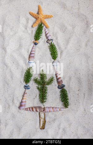 Muscheln in Form einer Tanne an der Küste, Dekoration, Stillleben Stockfoto