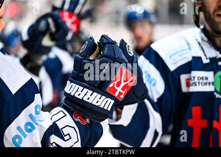 Iserlohn, Deutschland. Dezember 2023. Torjubel, Jubel, Freude, Feature, Symbolfoto GER, Iserlohn Roosters vs. Loewen Frankfurt, Eishockey, Penny-DEL, 25. Spieltag, Spielzeit 2023/2024, 08.12.2023, Foto: Jonas Brockmann/Eibner-Pressefoto Credit: dpa/Alamy Live News Stockfoto