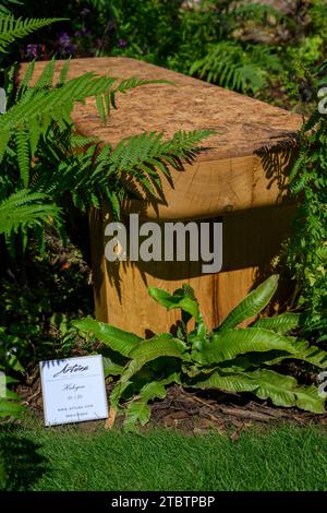 Elements URBAN Terrace Garden Competition (Möbel, Close-up-Sitzplätze, Waldpflanzen) - RHS Tatton Park Flower Show 2023, Cheshire, England, Großbritannien. Stockfoto