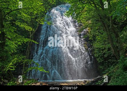 Dramatische Crabtree Falls versteckt im Wald entlang des Blue Ridge Parkway in North Carolina Stockfoto