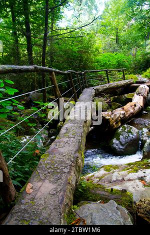 Die Wood Log Narrow Bridge überquert den Brook im Tennessee Forest Stockfoto