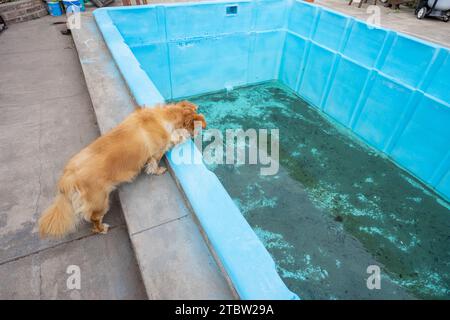 Leerer blauer Pool ein wenig schmutzig Stockfoto