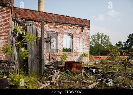 Der Verfall des Tageslichts in der Pierceton Factory bewachsene verlassene Industrieruinen Stockfoto