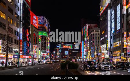 Ein Bild der Yasukuni-dori Ave in Shinjuku (Tokio) bei Nacht Stockfoto