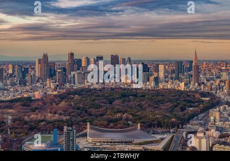 Ein Bild der Stadt Tokio mit Yoyogi Park und Shinjuku City bei Sonnenuntergang Stockfoto